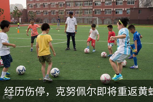 经历伤停，克努佩尔即将重返黄蜂阵容